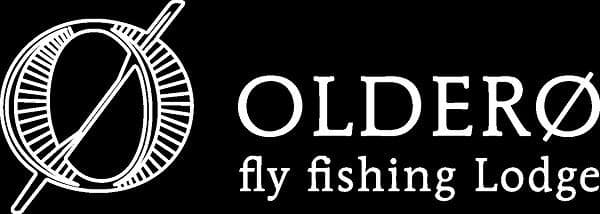 Sponsor logo #11